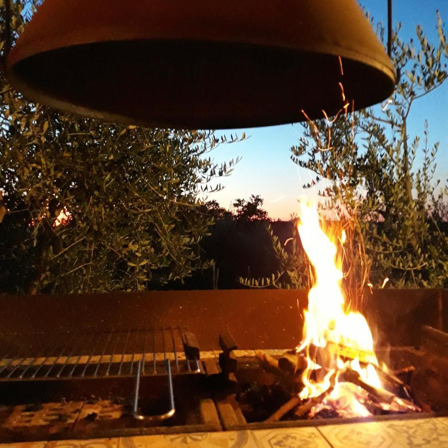 La Vigna Countrybnb Montottone Екстер'єр фото