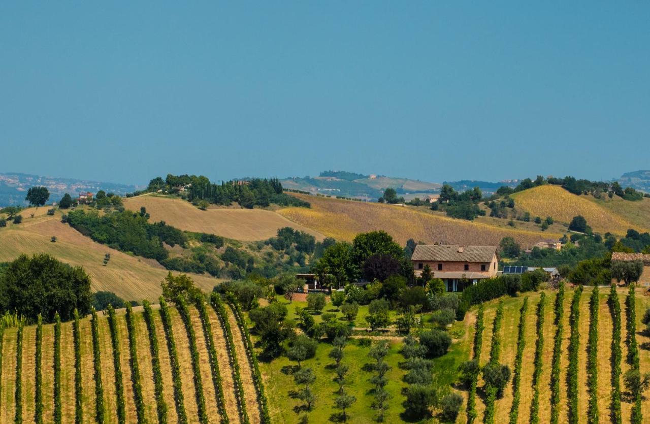 La Vigna Countrybnb Montottone Екстер'єр фото